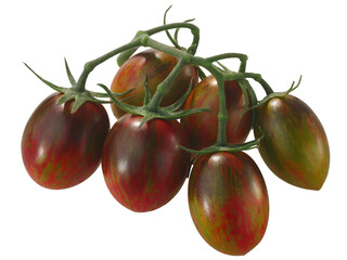 Brad's atomic grape heirloom tomatoes on the vine, cluster of, isolated (Solanum lycopersicum...
