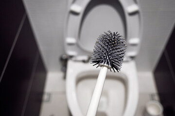 cleaning the toilet with brush