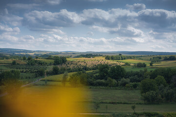 Beautiful panoramic view of landscape of wheat field and yellow and green hills, harvest time. Eastern Europe, Serbia, Fruska Gora