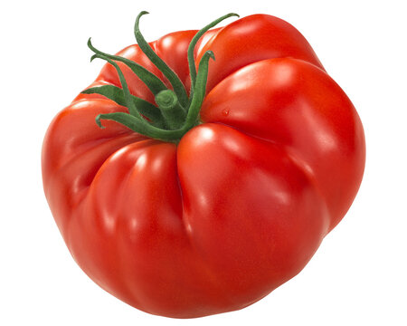 Large heirloom tomato (Solanum lycopersicum fruit), Rim odr Rome variety