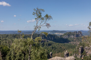 Sächsische Schweiz