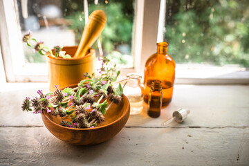 Apothecary bottles near raw materials from fresh flowering Clinopodium vulgare, Wild basil,...