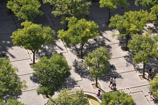Vista a&eacute;rea de pra&ccedil;a com arvoredo 