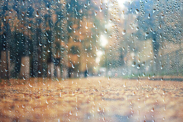 rain background autumn landscape park, abstract seasonal nobody weather october landscape