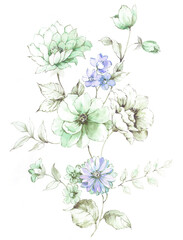 Flowers watercolor illustration.Manual composition.Big Set watercolor elements，Design for textile, wallpapers，Element for design,Greeting card