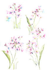 Obraz premium Flowers watercolor illustration.Manual composition.Big Set watercolor elements，Design for textile, wallpapers，Element for design,Greeting card