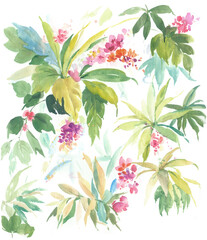 Flowers watercolor illustration.Manual composition.Big Set watercolor elements，Design for textile, wallpapers，Element for design,Greeting card