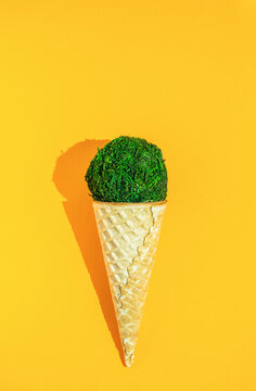 ice cream cone with a ball of grass