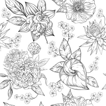 black and white hand draw seamless pattern with elegant flowers, blossoming floral elements