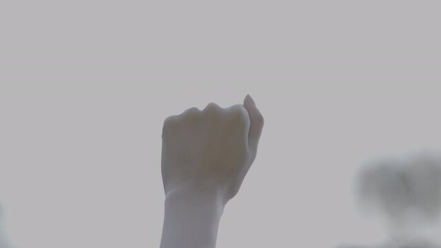 S-Log3, 4K, 120fps, Slow, Cinematic, Hand