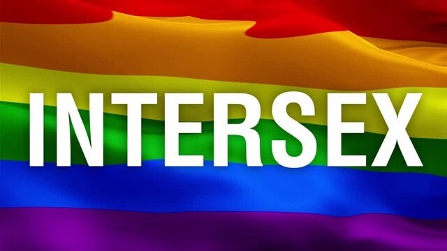 Intersex text on pride rainbow flag. Rainbow Intersex America lesbian USA lgbtq flag video waving in wind. Intersex LGBTQI Pride flag background. Rainbow Intersex Flag Looping 1080p Full HD.Rainbow co