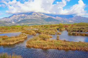 Beautiful wetland landscape. Montenegro, Tivat. View of Tivat Saline  ( Tivatska Solila ) -  Special Nature Reserve