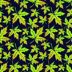 Seamless pattern with Maple  leaves. Design for textiles, fabric, tapestries.