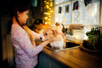 Cute caucasian child girl washes and bathes a puppy in the sink in the kitchen at home, kid takes care of the pet. Mongrel puppy at home.