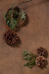 Pine tree with a vertical frame on wooden background.