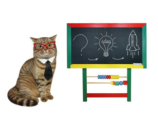 A beige cat teacher in glasses and a tie is giving a lesson near a chalkboard. White background. Isolated.