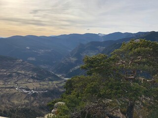 Naklejka premium Naturaleza G