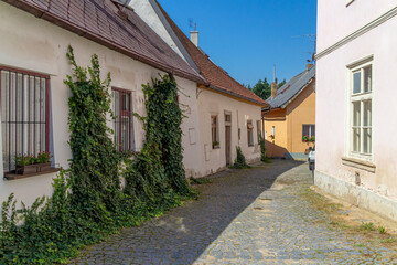 Fototapeta na wymiar narrow alley in a small Czech town with cobblestones and typical South Bohemian houses and roof covering
