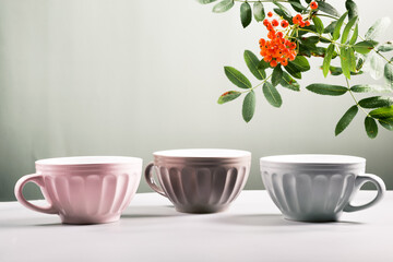 three cute empty ceramic coffee cups pastel colors and rowan branch