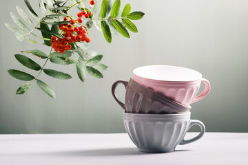 three cute empty ceramic coffee cups pastel colors and rowan branch