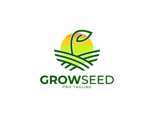 Growing seed with leaf logo illustration