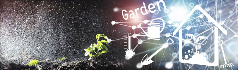 Green sprout on the ground. Spring concept. Seedlings in the ground. Updating nature is an idea. Hands plant a sprout in the ground.