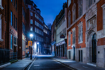 Fototapeta na wymiar イギリス・ロンドンの住宅街の夜景