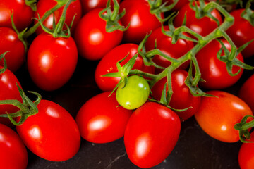 Close-up shot of fresh bio tomatoes. BIO vegetables from vilage garden.