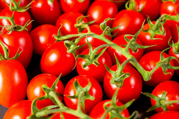 Close-up shot of fresh bio tomatoes. BIO vegetables from vilage garden.
