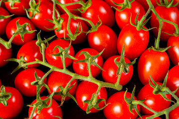 Close-up shot of fresh bio tomatoes. BIO vegetables from vilage garden.