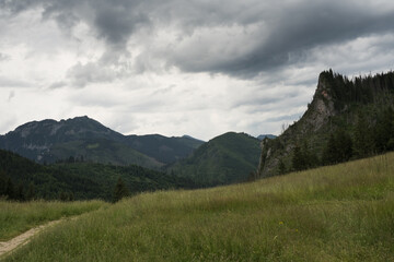 Obraz premium Mountain meadow in the Polish Tatras