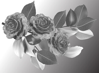 three blooms grey rose branch