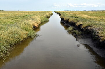 Naturpark Westhever in Schleswig-Holstein im Sommer
