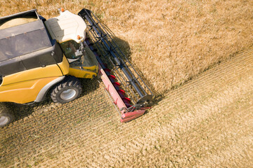 Aerial view of combine harvester harvesting large ripe wheat field. Agriculture from drone view.