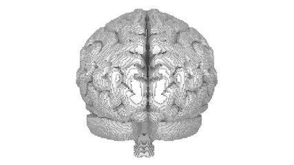 Pixel art pattern style on front view white brain surface on white background, 3d rendering.