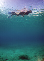 Naklejka na ściany i meble underwater scuba diver , caribbean sea , Curacao