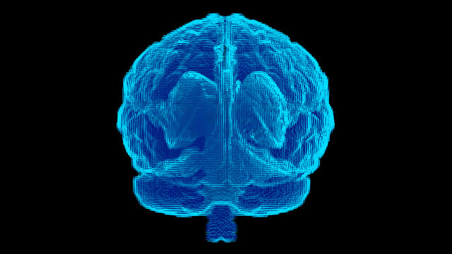  3d rendering front view brain x-ray surface on black background , Computerized Tomography scan concept.