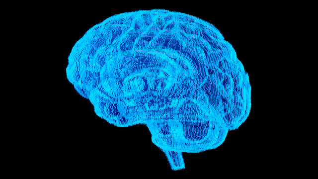  3d rendering side view brain x-ray surface on black background , Computerized Tomography scan concept.