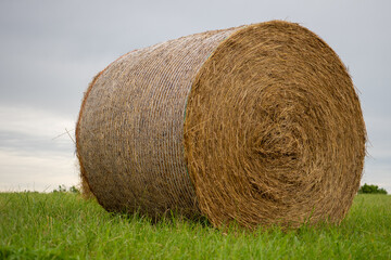 Heuballen auf einer Wiese
