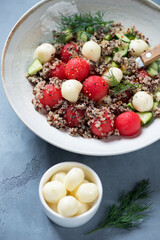 Plate of quinoa, watermelon, cucumber and scamorza cheese salad, vertical shot, close-up