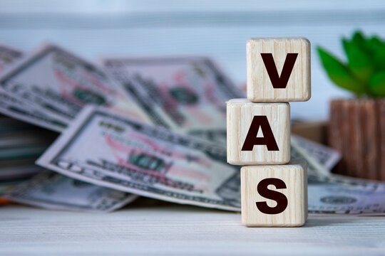 VAS - acronym on wooden cubes on the background of a cactus and banknotes