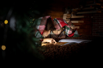 Children read a book on a bed near the Christmas tree