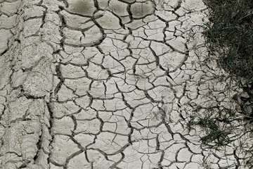 Dry cracked earth texture. Dry soil concept