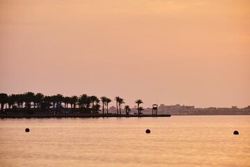 Soft sunset over sea surface with distant palm trees.