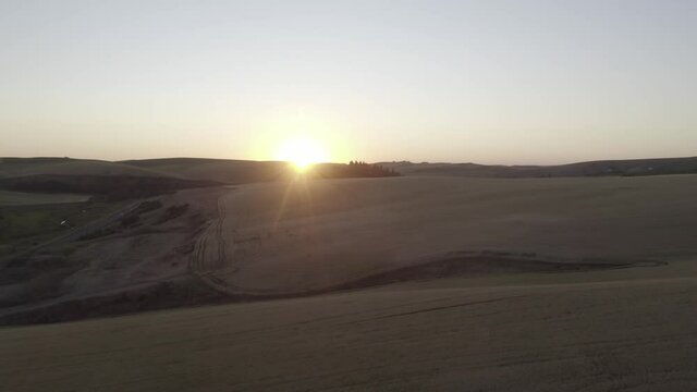 Aerial: Wheat fields and old barn at sunset, Pullman, Washington, USA