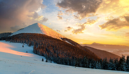 Soft sunset in winter snow covered Carpathian mountains