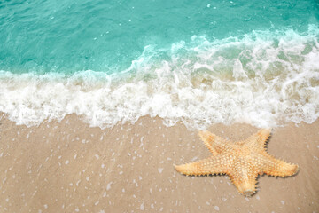 Beautiful waves and sea star on sandy beach