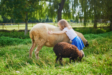 Adorable little girl playing with sheep at farm