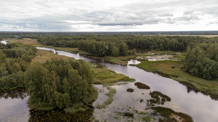 Obraz premium the river in the forest