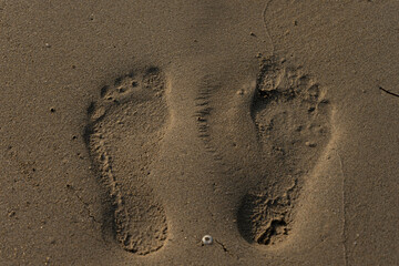 always leaving a footprint sand beach